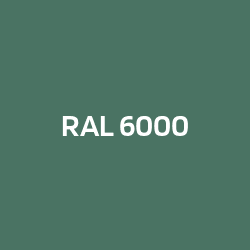 RAL 6000 Patinagrün