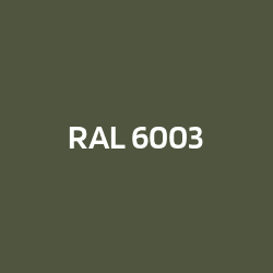 RAL 6003 Olivgrün