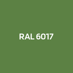 RAL 6017 Maigrün