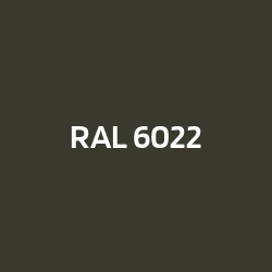 RAL 6022 Braunoliv