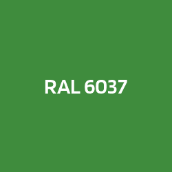 RAL 6037 Reingrün